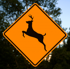 Wildlife Collision Prevention | SDG Counties